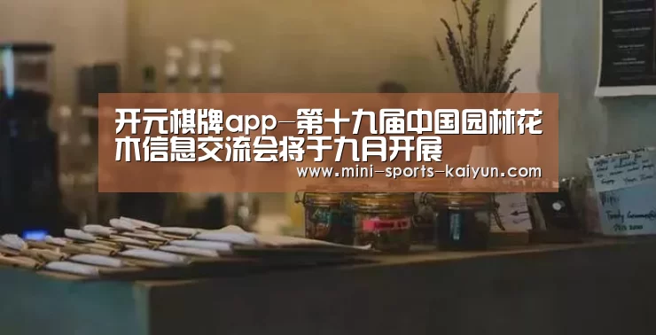 开云体育官网