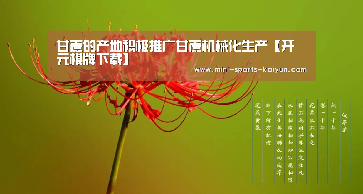 甘蔗的产地积极推广甘蔗机械化生产【开元棋牌下载】(图2) 开元棋牌app