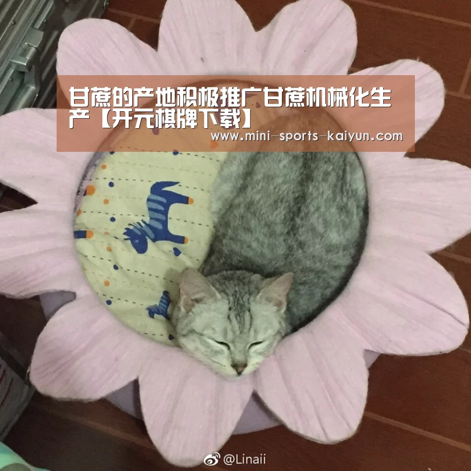 甘蔗的产地积极推广甘蔗机械化生产【开元棋牌下载】(图4) 开元棋牌电脑版