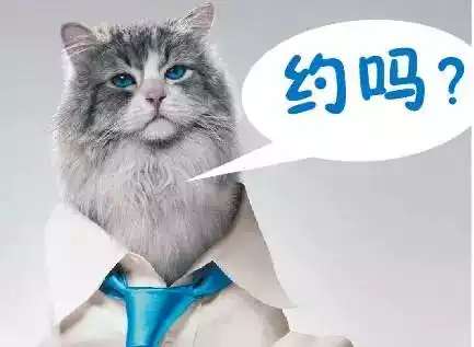 甘蔗的产地积极推广甘蔗机械化生产【开元棋牌下载】(图3) 开元棋牌app