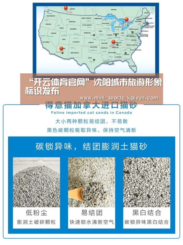 “开云体育官网”沈阳城市旅游形象标识发布(图1) 开元棋牌下载