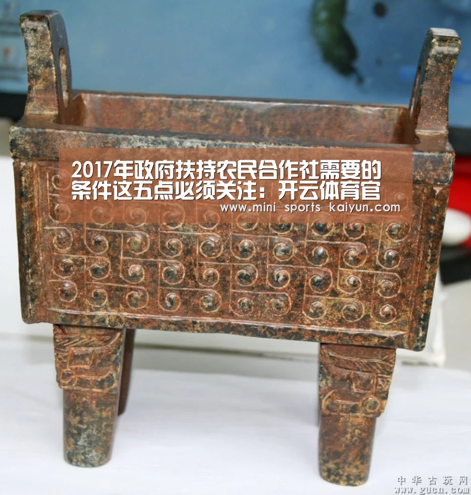 2017年政府扶持农民合作社需要的条件这五点必须关注:开云体育官网(图4) 开元棋牌下载