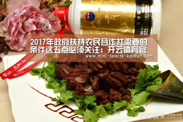 2017年政府扶持农民合作社需要的条件这五点必须关注:开云体育官网(图2) 开元棋牌下载