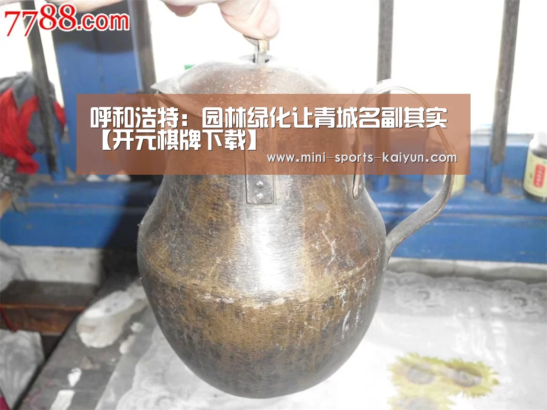 开云体育官网