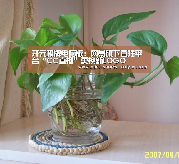 开元棋牌电脑版:网易旗下直播平台“CC直播”更换新LOGO(图2) 开元棋牌电脑版