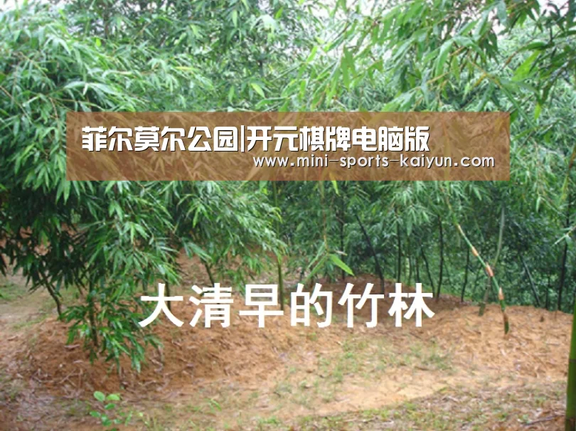 开元棋牌电脑版